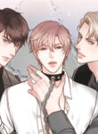 Cover 29354