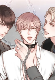 Cover 29354