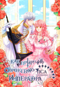 Cover 29400