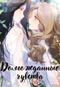 Cover 29418