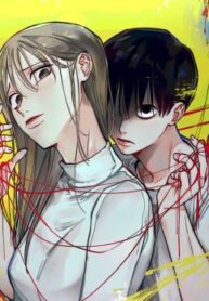 Cover 29469