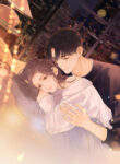 Cover 29485
