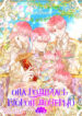Cover 29513