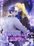 Cover 29525