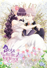 Cover 29528