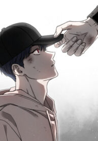 Cover 29555