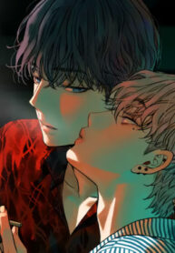 Cover 29561