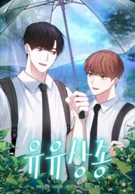 Cover 29567