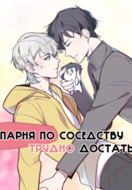 Cover 29611