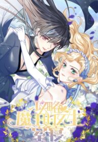 Cover 29671