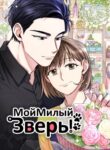 Cover 29775