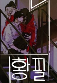 Cover 29853