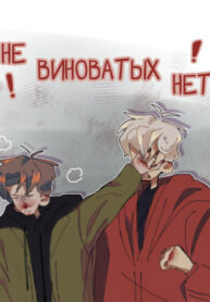 Cover 29935