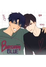 Cover 29937