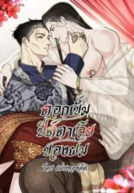 Cover 29939