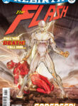 Cover 29951