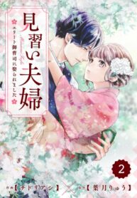 Cover 29953