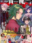 Cover 29985