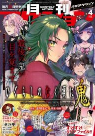 Cover 29985