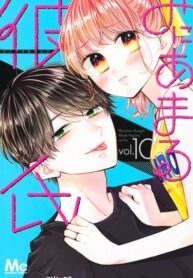 Cover 30267