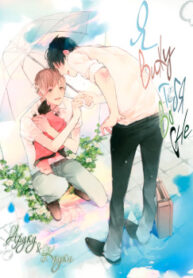Cover 30321