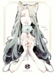 Cover 30333
