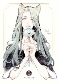 Cover 30333