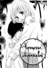 Cover 30382