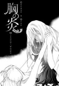 Cover 30429