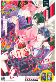 Cover 30485