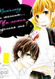 Cover 30493