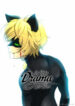Cover 30497