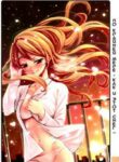 Cover 30521