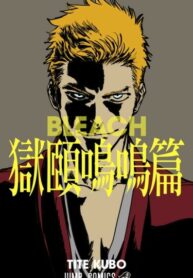 Cover 30635