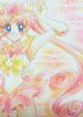 Cover 30677