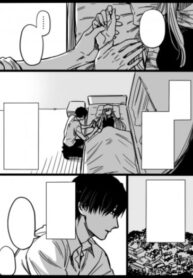 Cover 30717