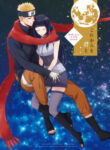 Cover 30729
