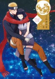 Cover 30729