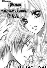 Cover 30782