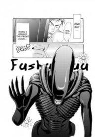Cover 30845