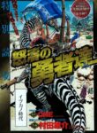 Cover 31051