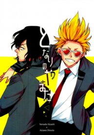 Cover 31091