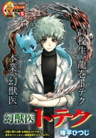 Cover 31096