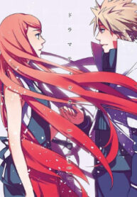 Cover 31133