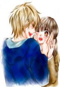 Cover 31163