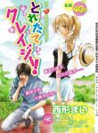 Cover 31181