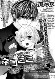 Cover 31283