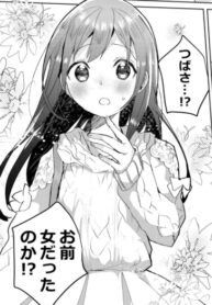 Cover 31293