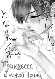 Cover 31295