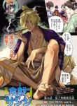 Cover 31296
